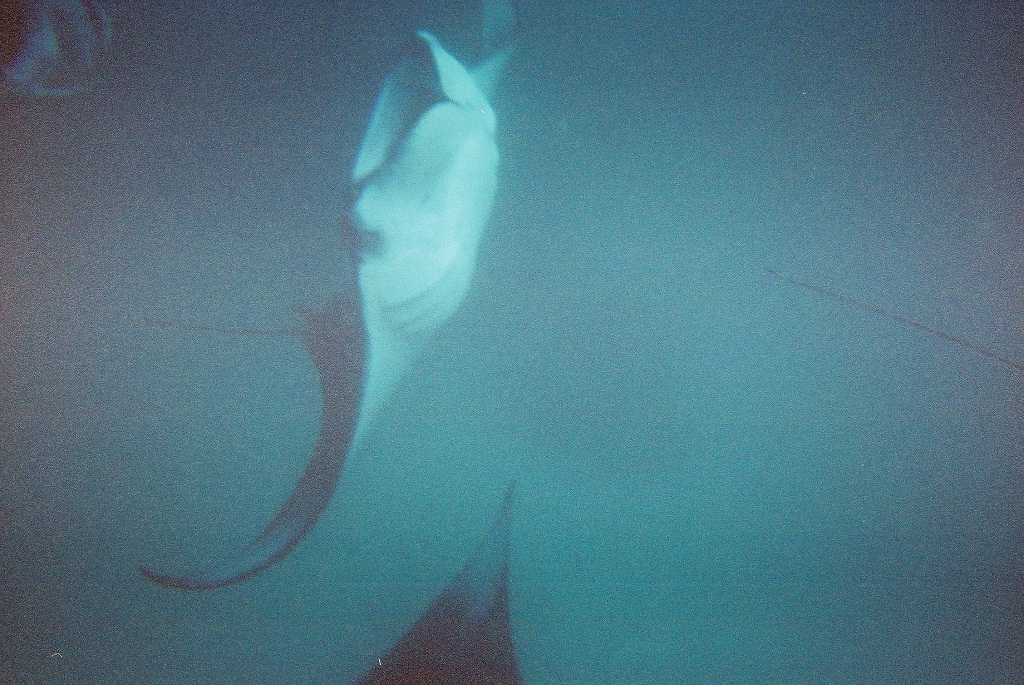 cnv00014
